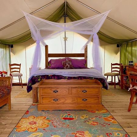 So Damn Lucky Glamping Otel Ucluelet Dış mekan fotoğraf