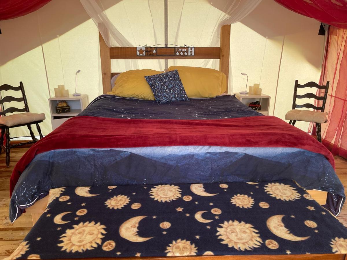 So Damn Lucky Glamping Otel Ucluelet Dış mekan fotoğraf