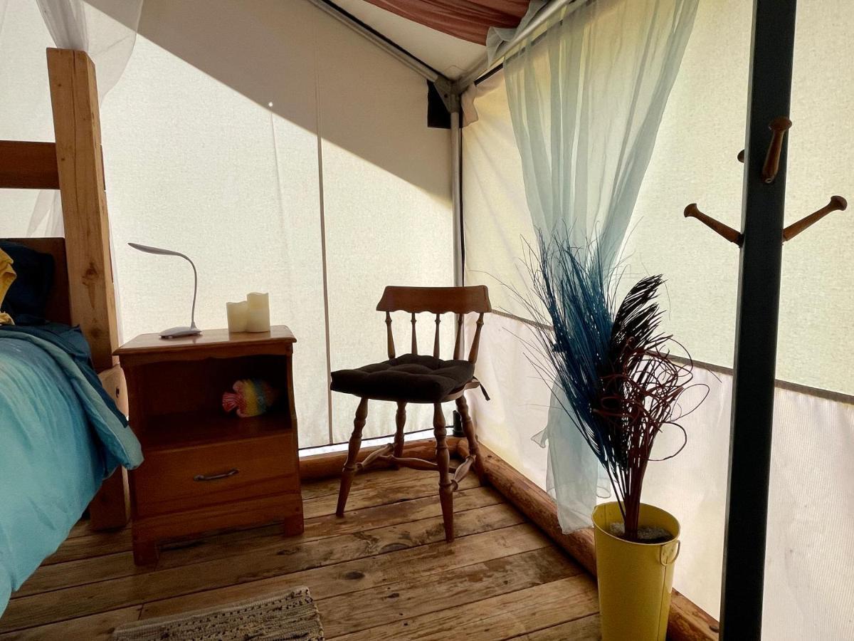 So Damn Lucky Glamping Otel Ucluelet Dış mekan fotoğraf